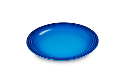 Stoneware Dinner Plate