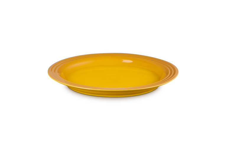 Stoneware Dinner Plate